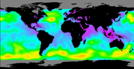 Data Images