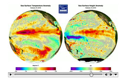 A screen capture of an animation that illustrates the evolution of sea surface temperature (SST) and sea surface height (SSH) anomalies.