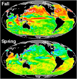 Ocean seasons.