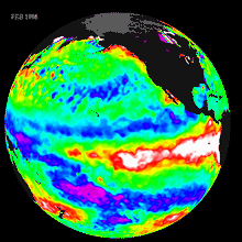 Global Sea Surface Temperature Data - 02/1998