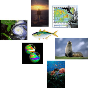 NRT Data Resources Image