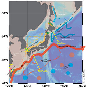 Variations of sea surface flow fields in the East Asian marginal seas and the western North Pacific