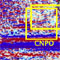 Dynamics Of Anisotropic Mean And Time-Varying Structures Of Ocean Circulation