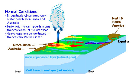 El niño on discount line