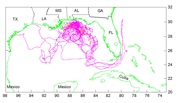 Simulations of oil-spill trajectories: Gulf of Mexico