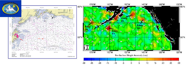 GhostNet Project: Derelict fish net detection