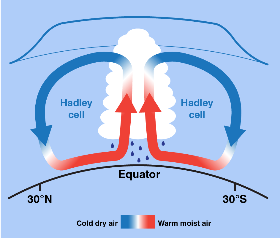 Hadley Cell