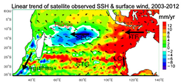 Marine heatwaves and concurrence of sea level surges in the South Indian Ocean