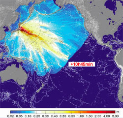 Forecast of the wave amplitude and time of propagation computed by the CEA model.