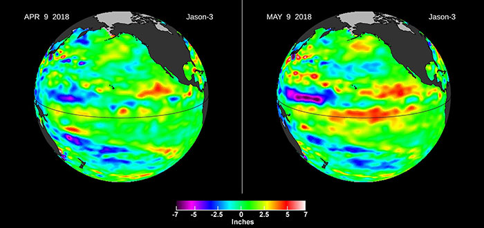 Downwelling Kelvin Wave in the Pacific
