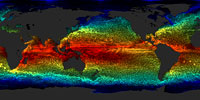 Global ocean flows on a flat map with colors representing sea surface temperature