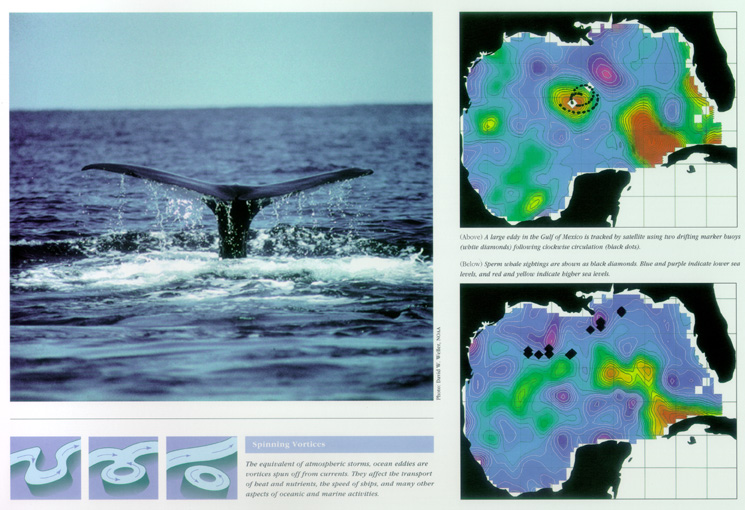 Whale Census and Habitat